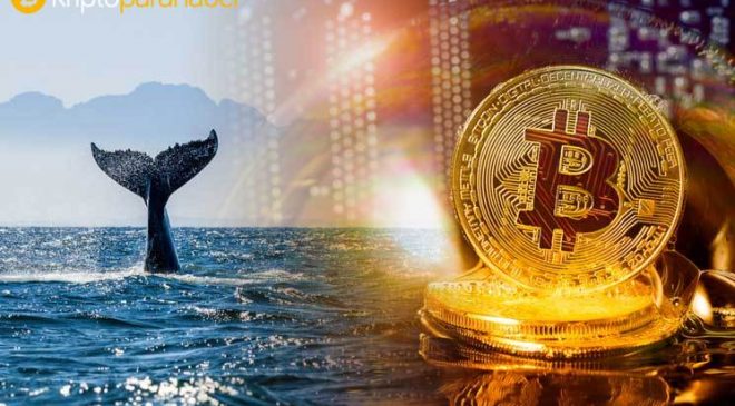 bitcoin balina